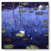 Waterlilies. 60cm x 80cm