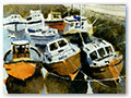 Title: Stonehaven Boats